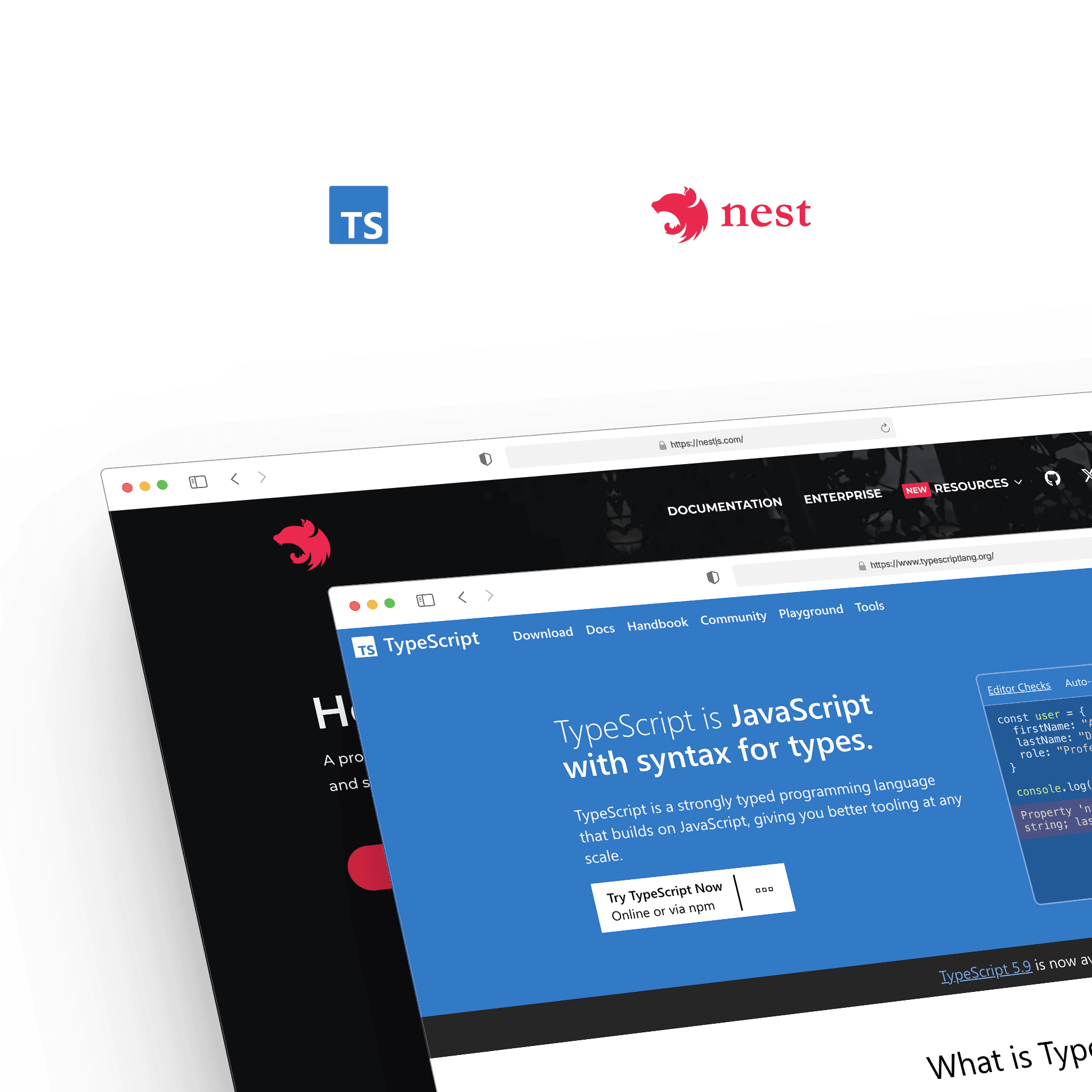 TypeScript